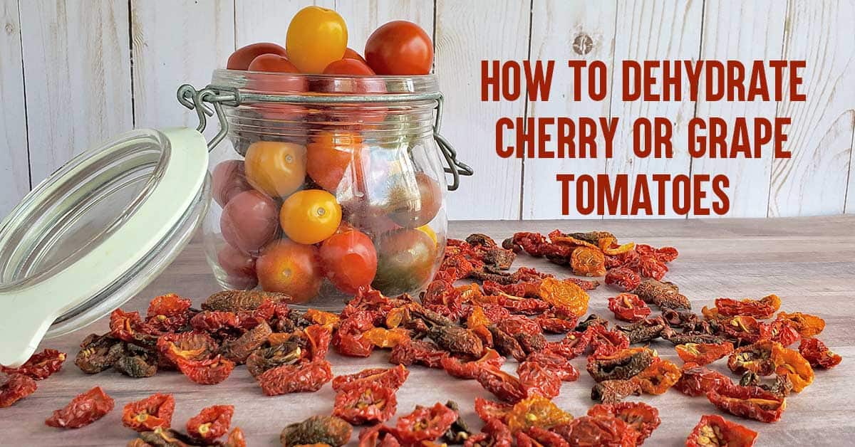 Dehydrate Cherry Tomatoes: Unlock 300% Flavor, Preserve Summer
