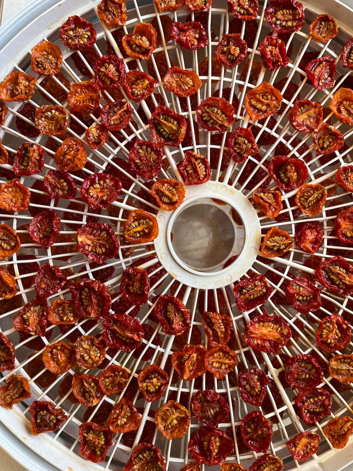 Master Dehydrating Cherry Tomatoes: Chewy Morsels in Hours (Oven Too)